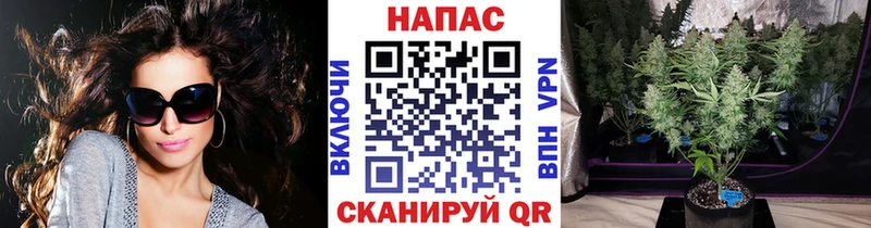 Где купить Яровое A-PVP Меф мяу мяу ГЕРОИН Cocaine ГАШ Галлюциногенные грибы