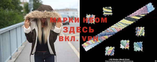 прущие грибы Абдулино