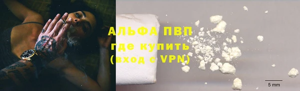 СК Алексин