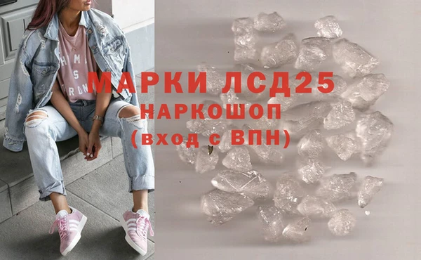 СК Алексин