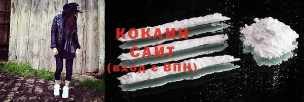 прущие грибы Абдулино